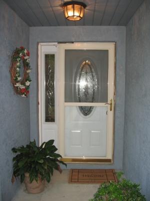 Yellow Rat Snake on door