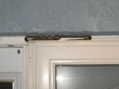 Yellow Rat Snake on door