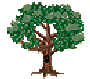 [Tree Icon]