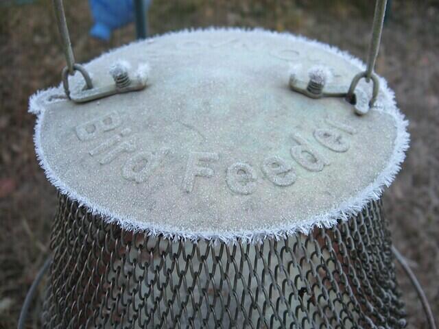 02-FrostOnBirdFeeder