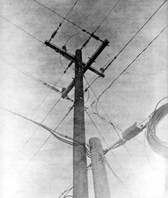 plate 2 - electric pole