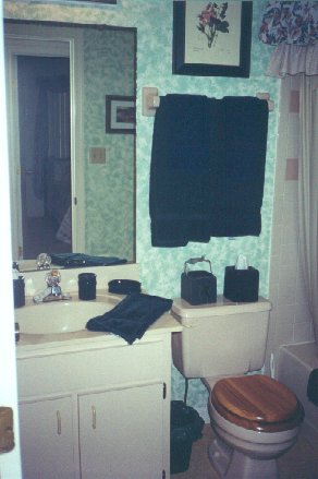 houseguestbath1