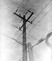 plate 2 - electric pole