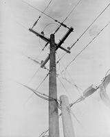 plate 2 - electric pole