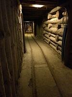 22-Wieliczka Salt Mine-we saw only one percent in 3 hours