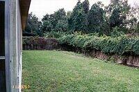 housebackyardbefore1