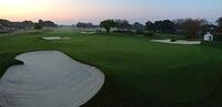 07 - arnold palmer invitational - march 2015 - working shotlink on 12th green