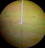 09 - arnold palmer invitational - march 2015 - view through shotlink eyepiece