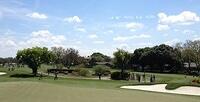 11 - arnold palmer invitational - march 2015 - skywriting