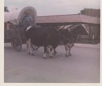 Mackinaw Sesqui-Centennial 1976 009