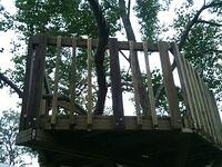 25-Leucht Treehouse