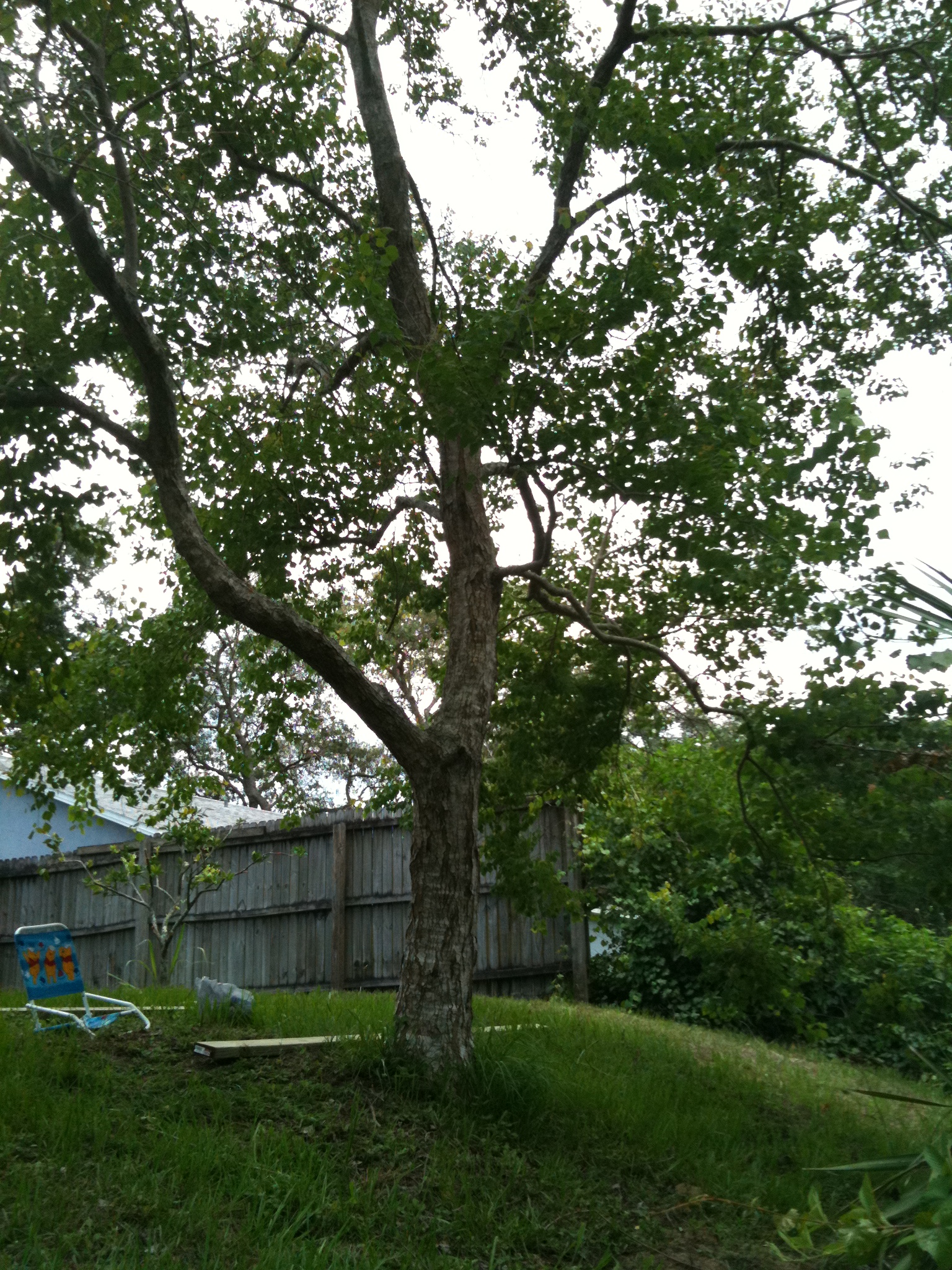 Our treehouse | Kurt's Blog